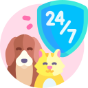 Személyre szabott állatfelügyelet otthonodban