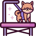 kisállat és kutya kozmetika háziállatoknak, bund ápolás, fodrászat,körömvágás