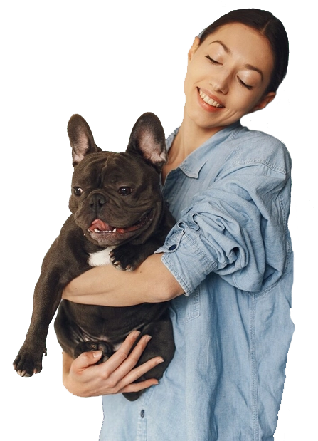 kutya, cica, kisállat szitter állások és munkák