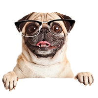 éjszakai - ottalvós szitterek keresés