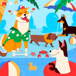 kisállat.kutya. cica napközis felügyelet