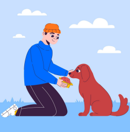 látogatás, etetés, itatás, rövid séta napközben